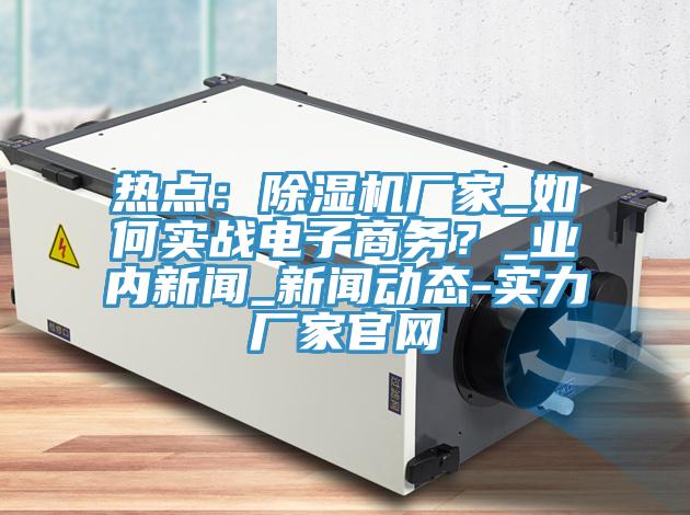 熱點(diǎn)：除濕機(jī)廠家_如何實(shí)戰(zhàn)電子商務(wù)？_業(yè)內(nèi)新聞_新聞動(dòng)態(tài)-實(shí)力廠家官網(wǎng)