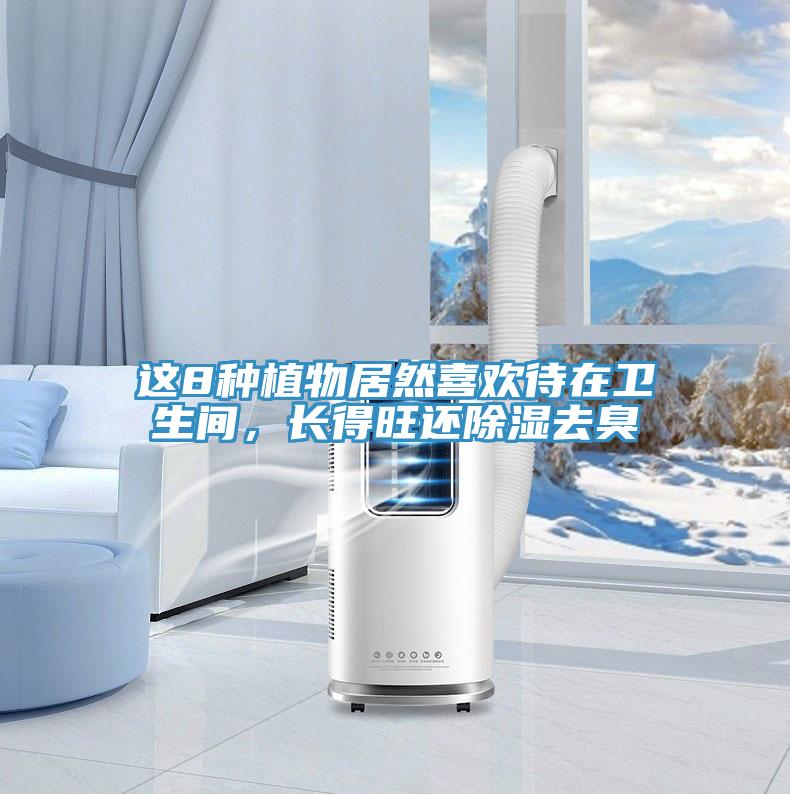這8種植物居然喜歡待在衛(wèi)生間，長得旺還除濕去臭