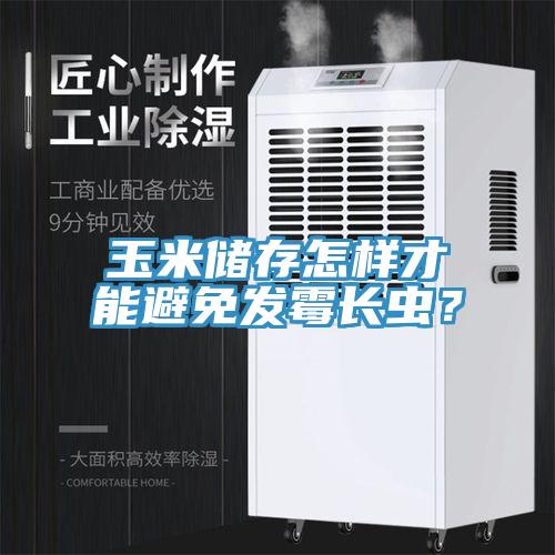 玉米儲(chǔ)存怎樣才能避免發(fā)霉長(zhǎng)蟲(chóng)？