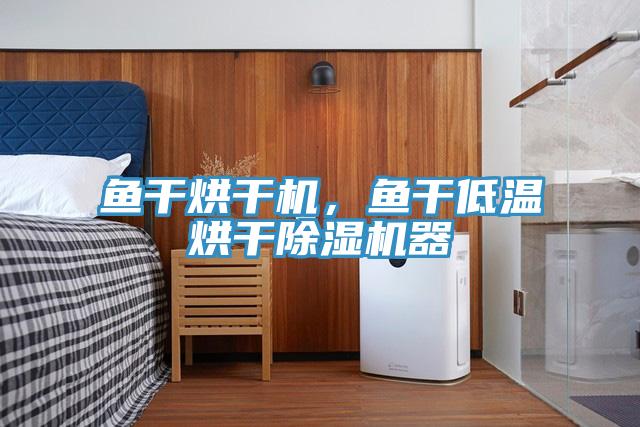 魚干烘干機(jī)，魚干低溫烘干除濕機(jī)器