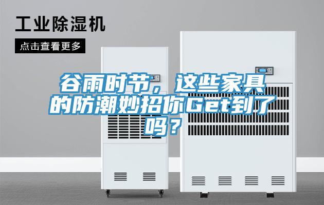 谷雨時(shí)節(jié)，這些家具的防潮妙招你Get到了嗎？
