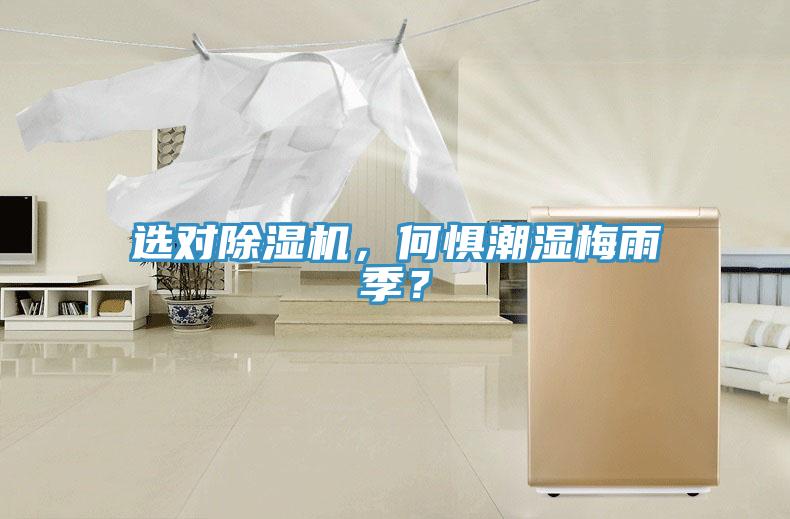 選對除濕機，何懼潮濕梅雨季？