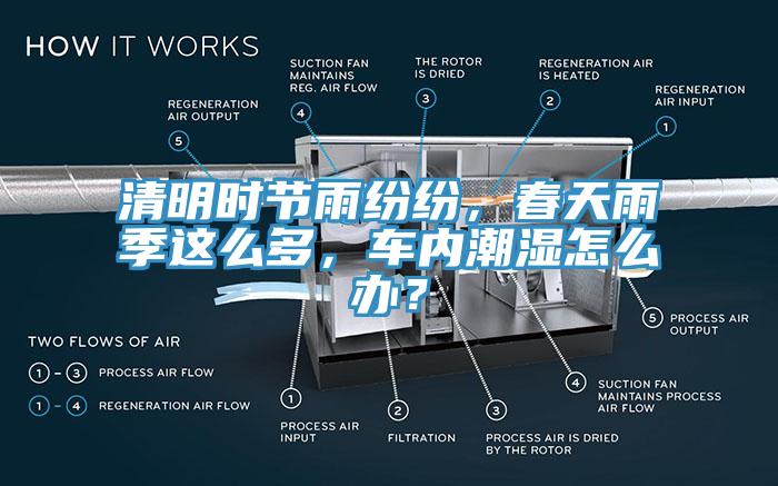 清明時(shí)節(jié)雨紛紛，春天雨季這么多，車內(nèi)潮濕怎么辦？