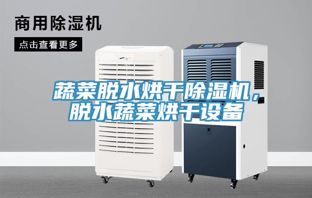 蔬菜脫水烘干除濕機(jī)，脫水蔬菜烘干設(shè)備