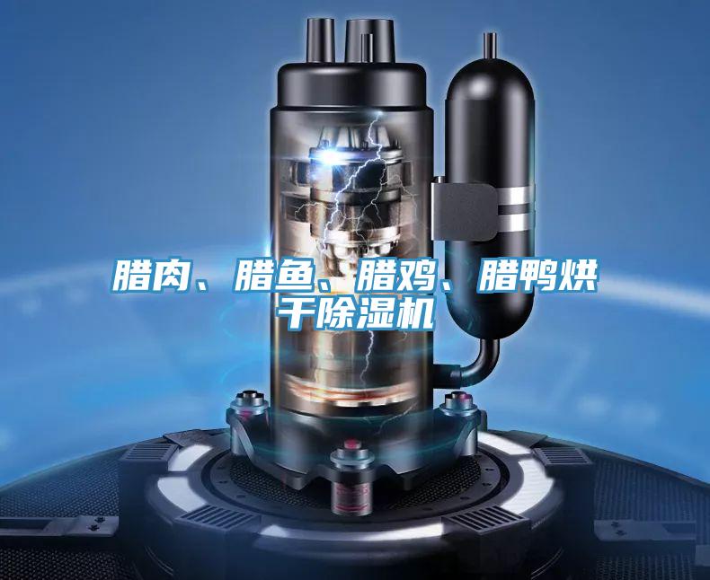 臘肉、臘魚、臘雞、臘鴨烘干除濕機(jī)