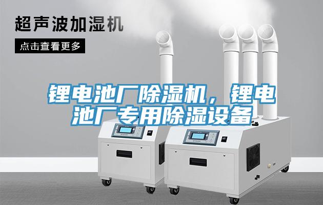 鋰電池廠除濕機(jī)，鋰電池廠專用除濕設(shè)備