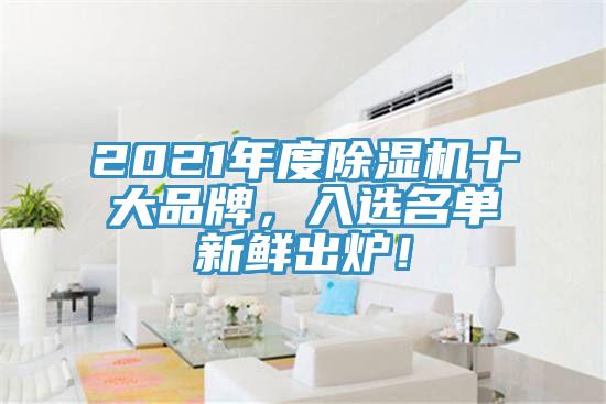2021年度除濕機(jī)十大品牌，入選名單新鮮出爐！