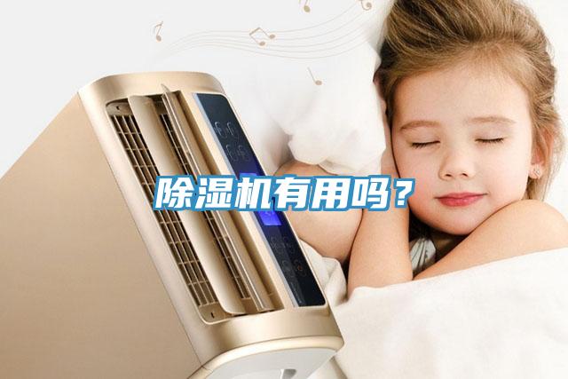 除濕機(jī)有用嗎？