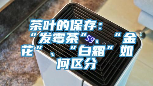 茶葉的保存：“發(fā)霉茶”、“金花”、“白霜”如何區(qū)分