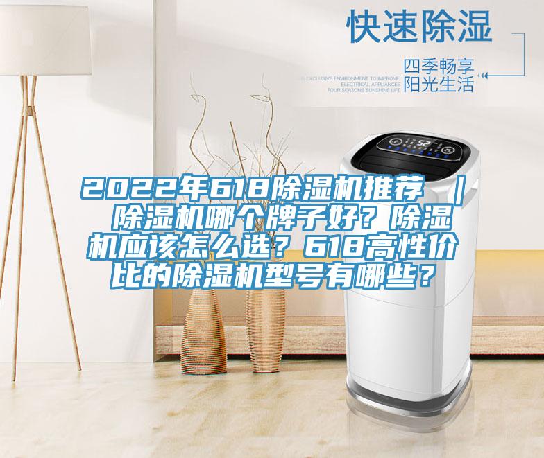 2022年618除濕機(jī)推薦 ｜ 除濕機(jī)哪個(gè)牌子好？除濕機(jī)應(yīng)該怎么選？618高性價(jià)比的除濕機(jī)型號(hào)有哪些？