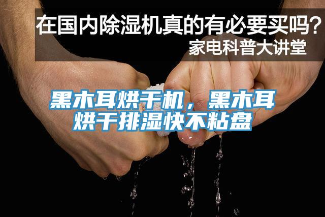 黑木耳烘干機，黑木耳烘干排濕快不粘盤
