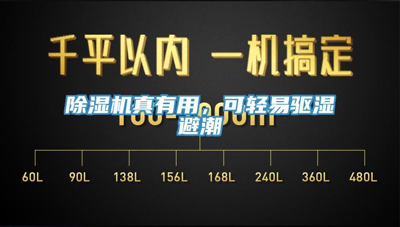 除濕機真有用，可輕易驅濕避潮