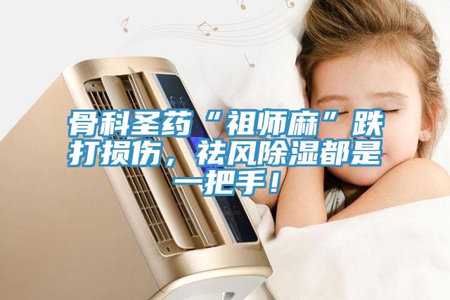 骨科圣藥“祖師麻”跌打損傷，祛風(fēng)除濕都是一把手！