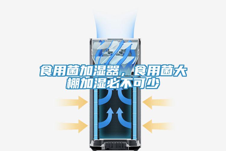 食用菌加濕器，食用菌大棚加濕必不可少