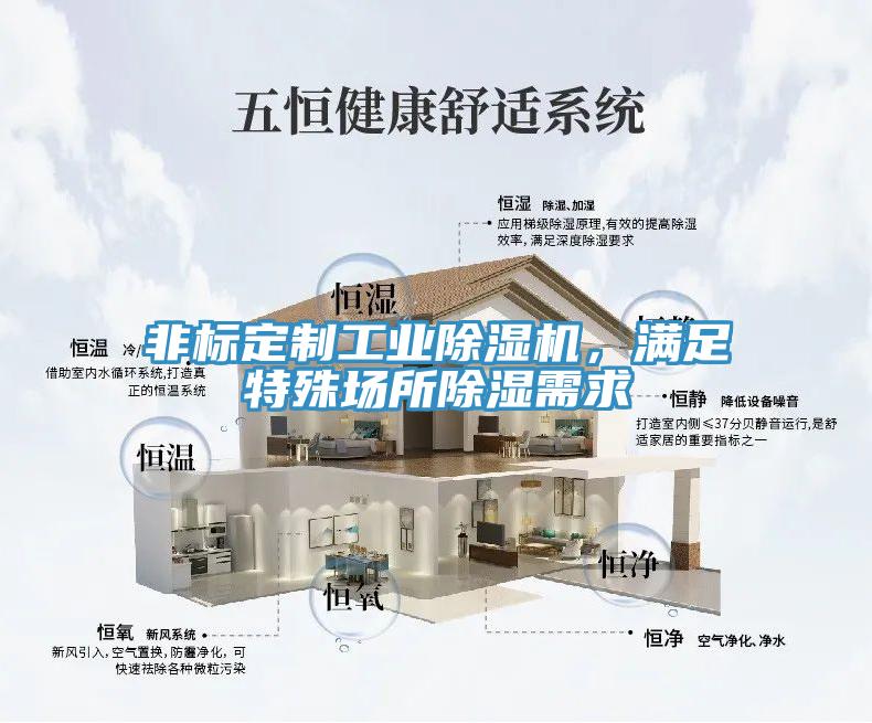 非標(biāo)定制工業(yè)除濕機(jī)，滿足特殊場(chǎng)所除濕需求