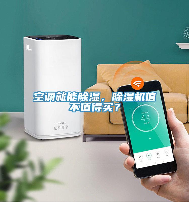 空調(diào)就能除濕，除濕機(jī)值不值得買(mǎi)？