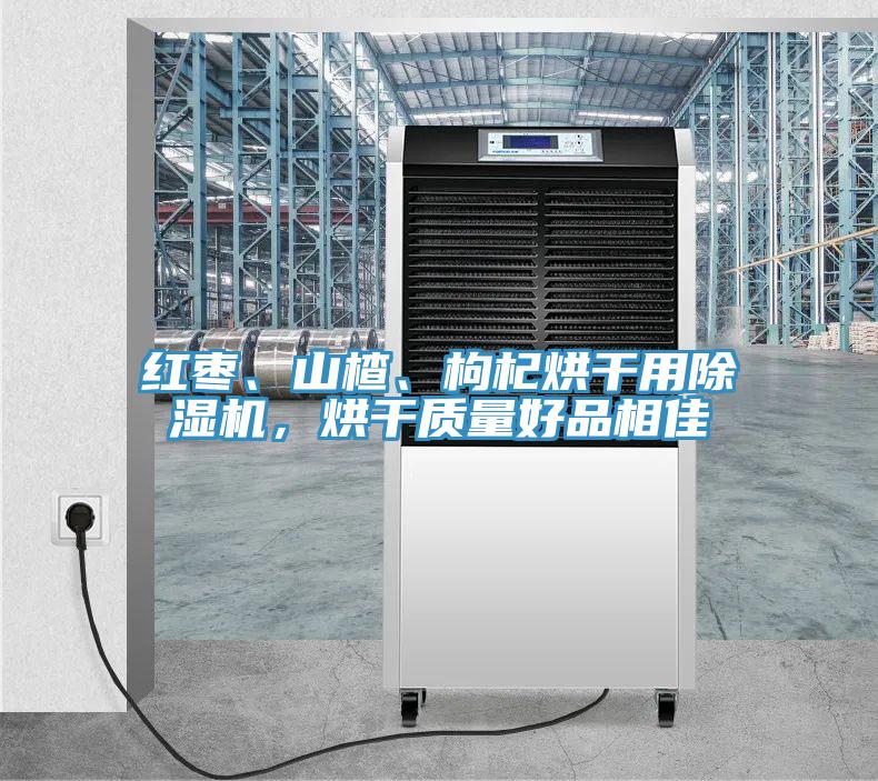 紅棗、山楂、枸杞烘干用除濕機(jī)，烘干質(zhì)量好品相佳