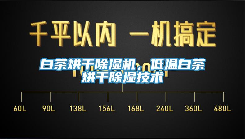 白茶烘干除濕機(jī)，低溫白茶烘干除濕技術(shù)