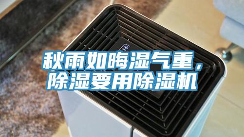 秋雨如晦濕氣重，除濕要用除濕機
