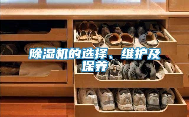 除濕機(jī)的選擇、維護(hù)及保養(yǎng)