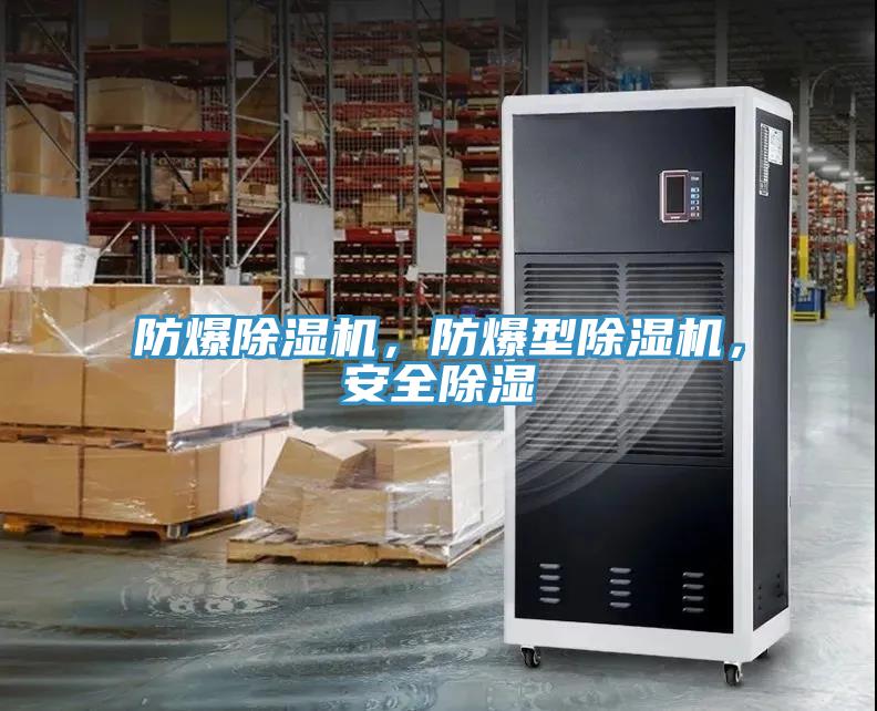 防爆除濕機(jī)，防爆型除濕機(jī)，安全除濕