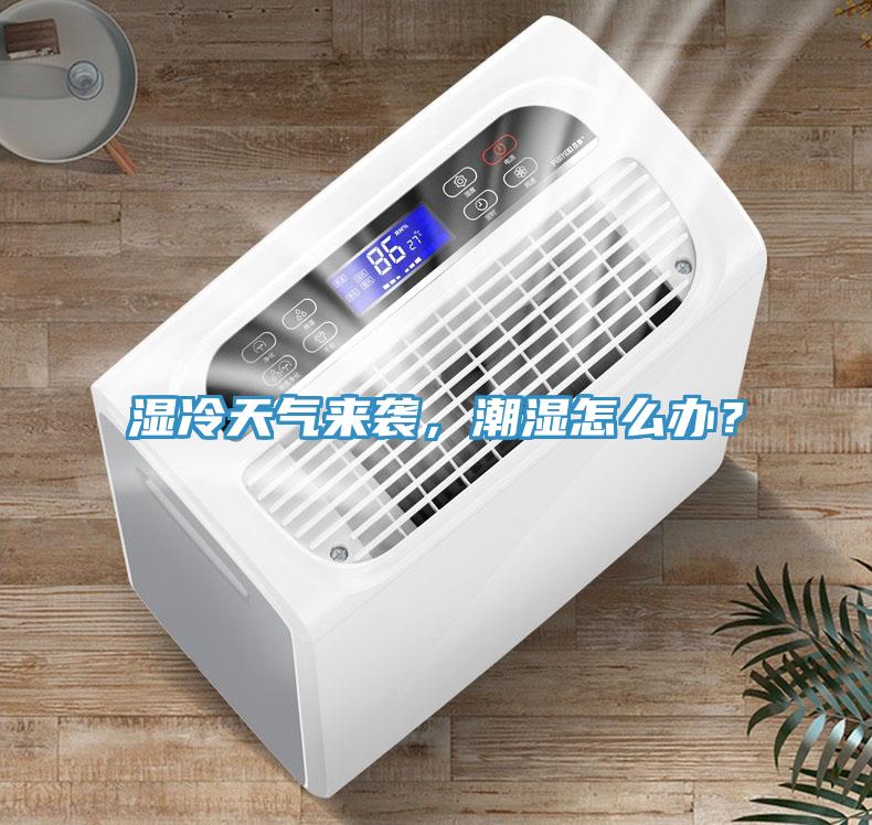 濕冷天氣來襲，潮濕怎么辦？