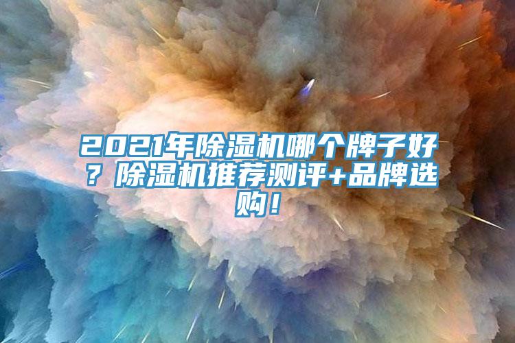 2021年除濕機(jī)哪個(gè)牌子好？除濕機(jī)推薦測(cè)評(píng)+品牌選購(gòu)！