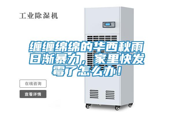 纏纏綿綿的華西秋雨日漸暴力，家里快發(fā)霉了怎么辦！