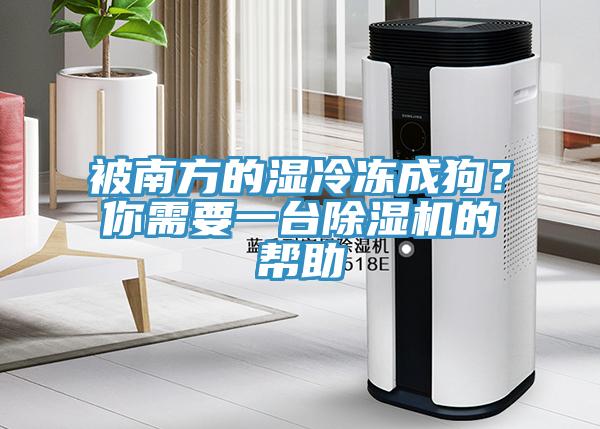 被南方的濕冷凍成狗？你需要一臺(tái)除濕機(jī)的幫助