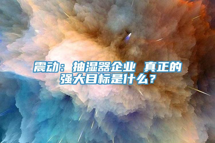 震動(dòng)：抽濕器企業(yè) 真正的強(qiáng)大目標(biāo)是什么？