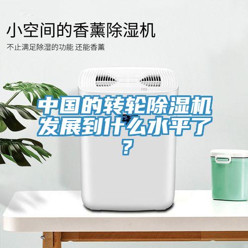 中國(guó)的轉(zhuǎn)輪除濕機(jī)發(fā)展到什么水平了？