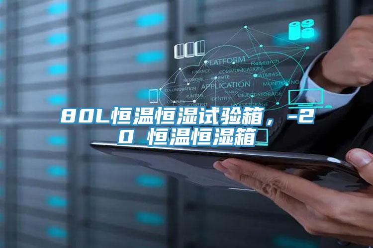 80L恒溫恒濕試驗箱，-20℃恒溫恒濕箱