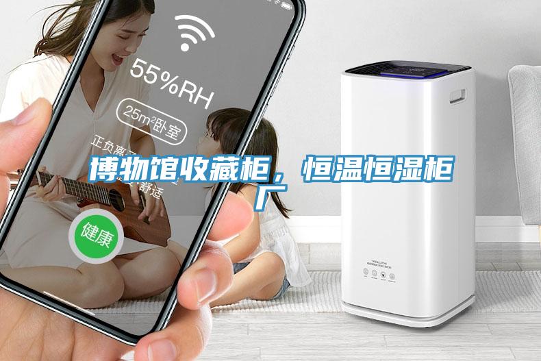 博物館收藏柜，恒溫恒濕柜廠