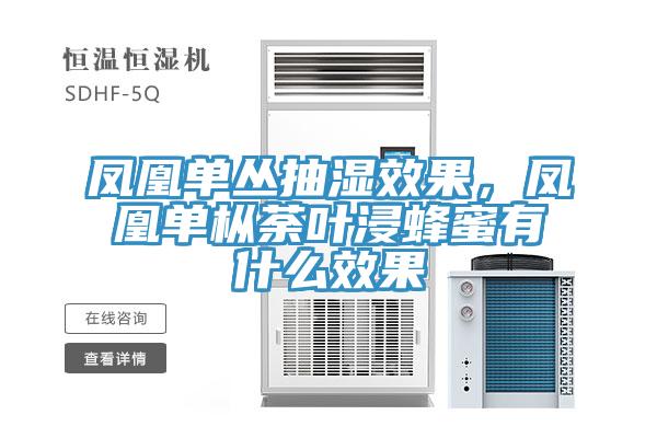 鳳凰單叢抽濕效果，鳳凰單樅荼葉浸蜂蜜有什么效果