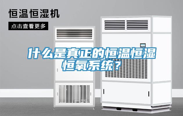 什么是真正的恒溫恒濕恒氧系統(tǒng)？