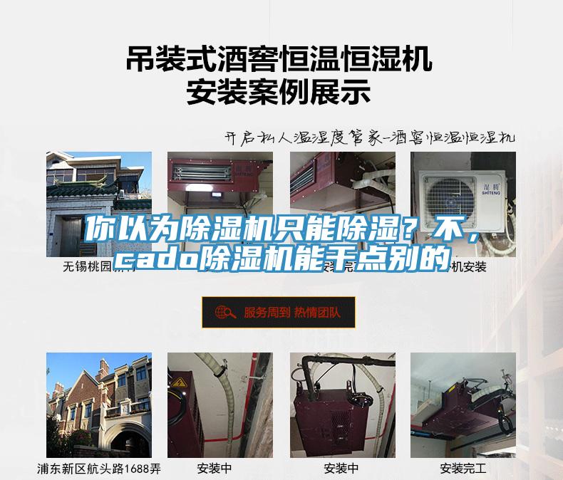 你以為除濕機只能除濕？不，cado除濕機能干點別的
