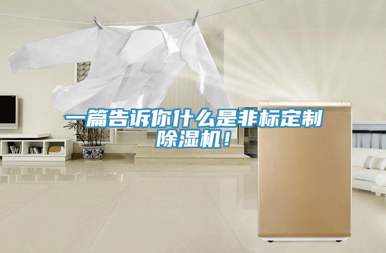 一篇告訴你什么是非標(biāo)定制除濕機(jī)！
