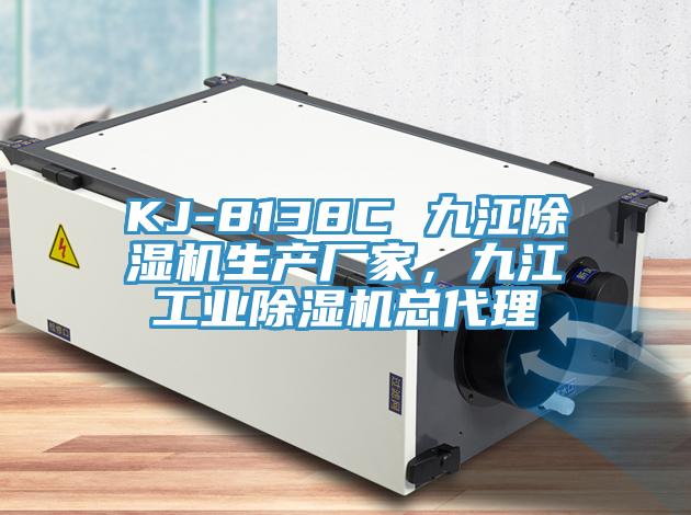KJ-8138C 九江除濕機生產(chǎn)廠家，九江工業(yè)除濕機總代理