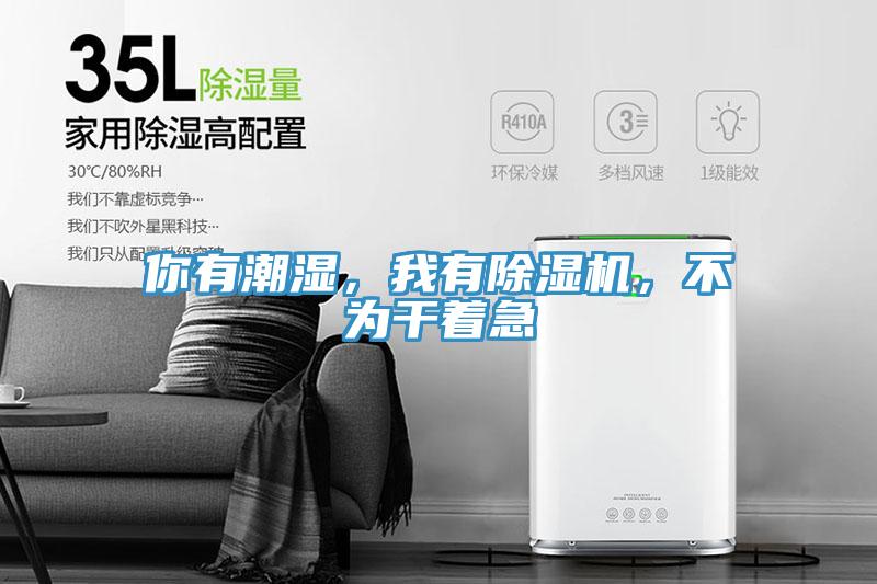 你有潮濕，我有除濕機，不為干著急
