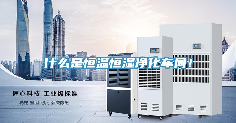 什么是恒溫恒濕凈化車間！