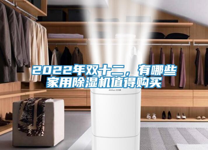 2022年雙十二，有哪些家用除濕機值得購買