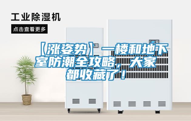 【漲姿勢】一樓和地下室防潮全攻略，大家都收藏了！