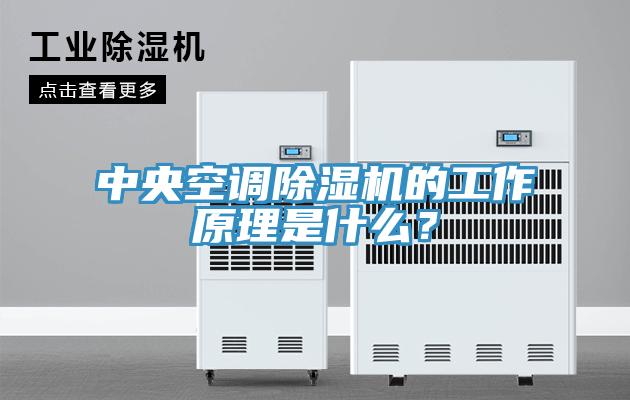 中央空調(diào)除濕機(jī)的工作原理是什么？