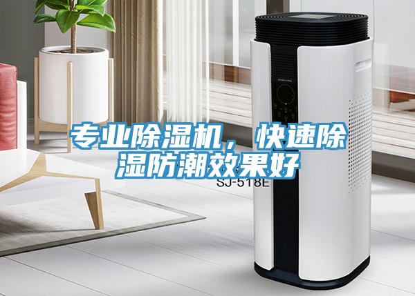 專業(yè)除濕機，快速除濕防潮效果好