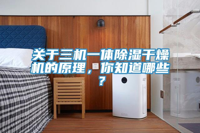 關(guān)于三機(jī)一體除濕干燥機(jī)的原理，你知道哪些？