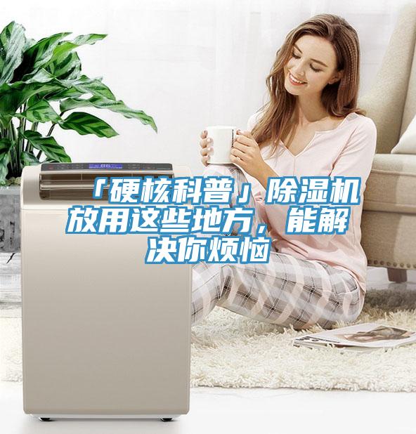 「硬核科普」除濕機放用這些地方，能解決你煩惱
