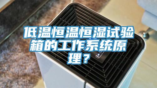 低溫恒溫恒濕試驗(yàn)箱的工作系統(tǒng)原理？