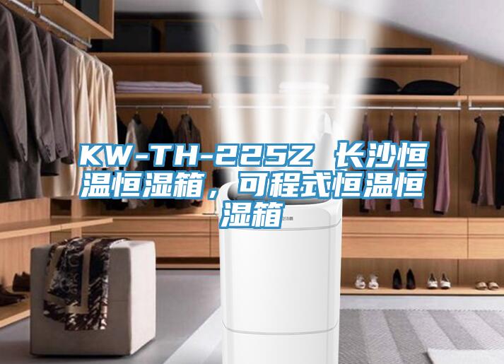 KW-TH-225Z 長沙恒溫恒濕箱，可程式恒溫恒濕箱
