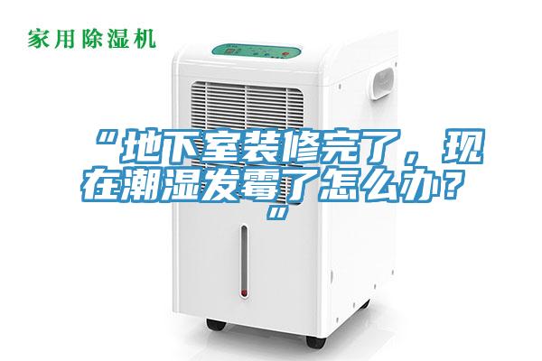 “地下室裝修完了，現(xiàn)在潮濕發(fā)霉了怎么辦？”