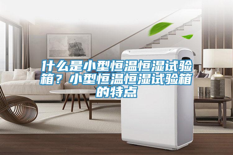 什么是小型恒溫恒濕試驗(yàn)箱？小型恒溫恒濕試驗(yàn)箱的特點(diǎn)